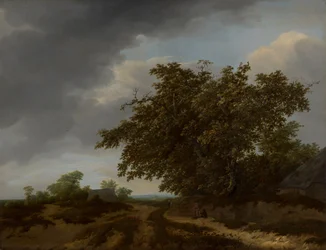 Landscape at the Dune Edge